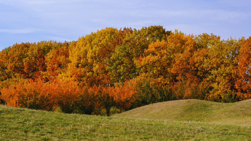 Long Island Fall